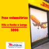 Guía prepagada DHL día siguiente ampara hasta 1kg