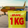 Guía Prepagada DHL 1 Kg Envío Día Siguiente 1 Dh Expréss