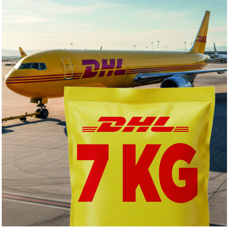 Guía DHL Día Siguiente 1 kg Express | MULTIPAQ