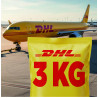 Guía DHL Express 3 kg Día Siguiente | MULTIPAQ