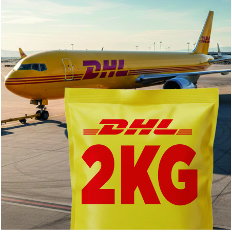 Guía DHL 2kg Prepagada | Servicio Día Siguiente | Entrega en Sucursal